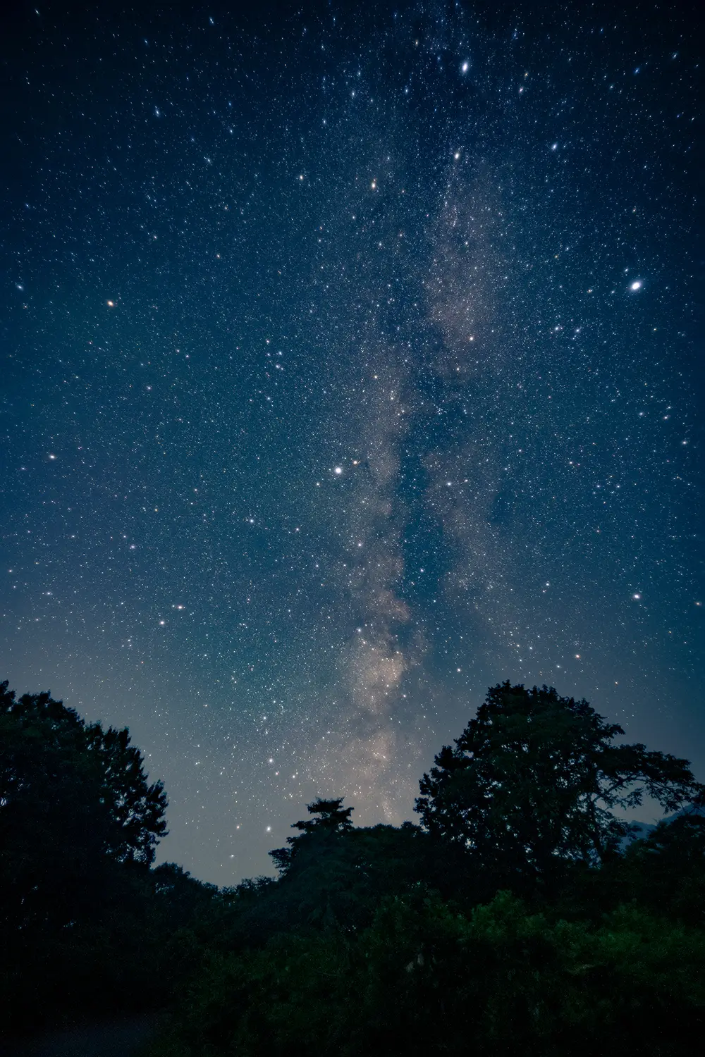 黒姫高原の星空