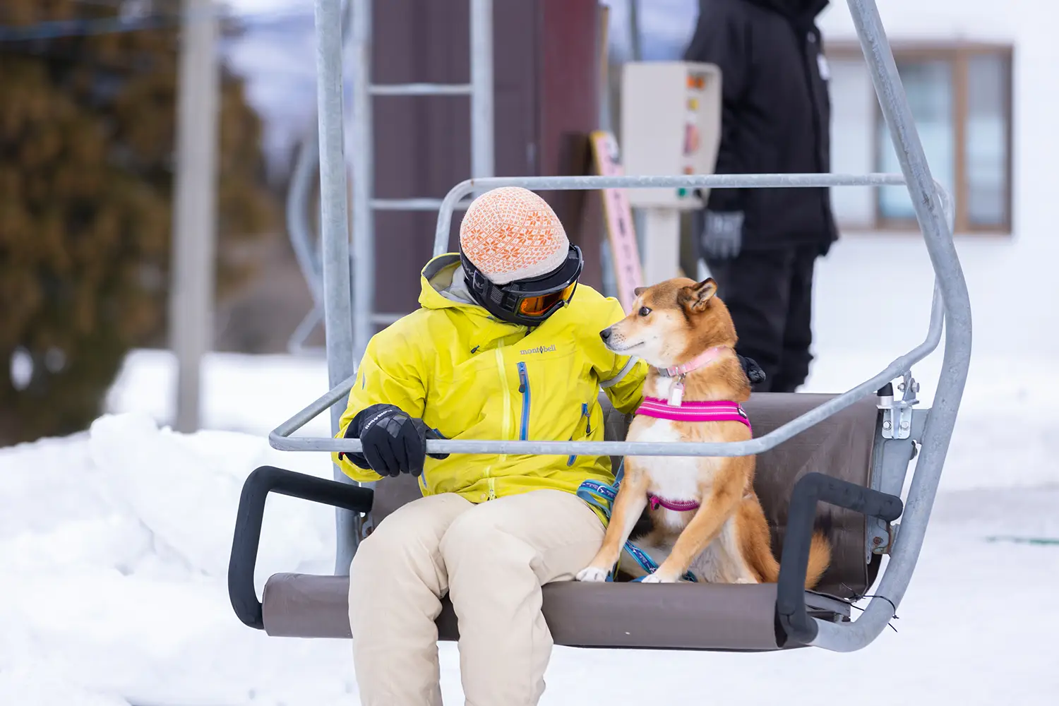 愛犬と乗れる雪上リフト