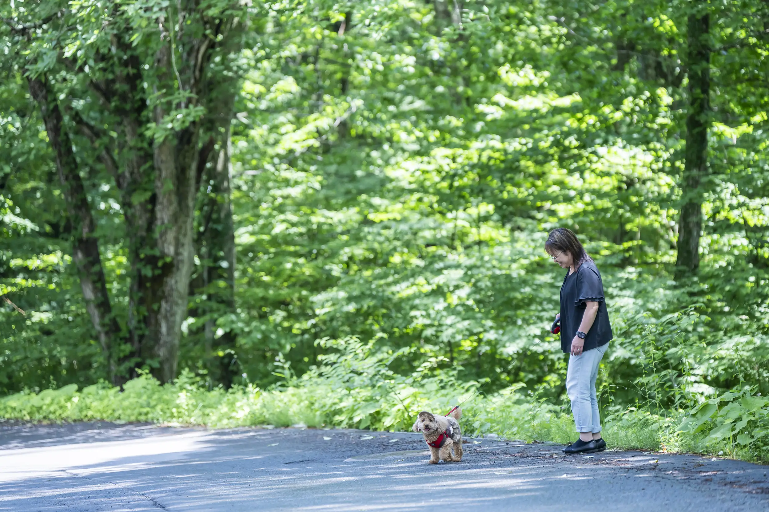 森を愛犬と散歩する宿泊客